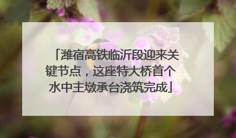 潍宿高铁临沂段迎来关键节点，这座特大桥首个水中主墩承台浇筑完成