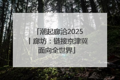 潮起廊洽2025丨廊坊：链接京津冀 面向全世界