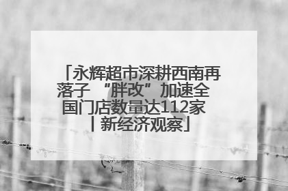 永辉超市深耕西南再落子 “胖改”加速全国门店数量达112家丨新经济观察