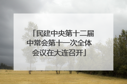 民建中央第十二届中常会第十一次全体会议在大连召开