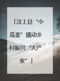 汶上县“小瓜蒌”撬动乡村振兴“大产业”