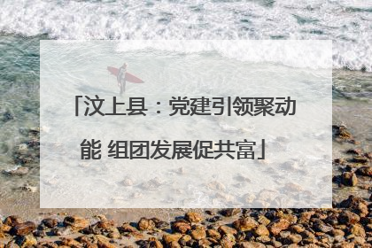 汶上县：党建引领聚动能 组团发展促共富