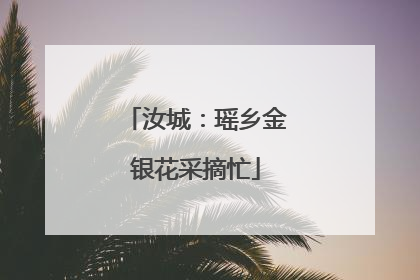 汝城：瑶乡金银花采摘忙