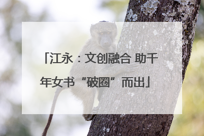 江永：文创融合 助千年女书“破圈”而出