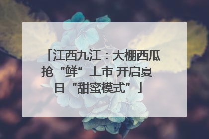 江西九江：大棚西瓜抢“鲜”上市 开启夏日“甜蜜模式”