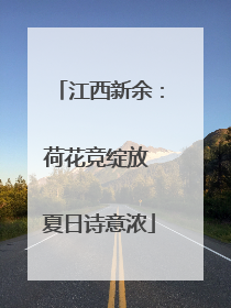 江西新余：荷花竞绽放 夏日诗意浓