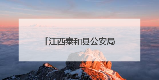 江西泰和县公安局经侦大队：运用新型警务助力护企安商跑出“加速度”