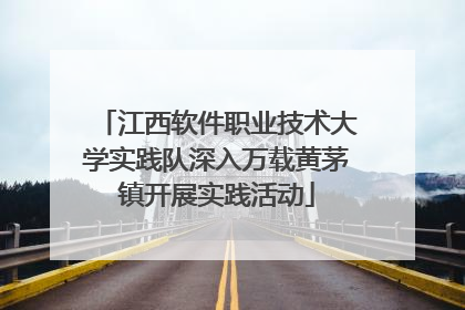江西软件职业技术大学实践队深入万载黄茅镇开展实践活动