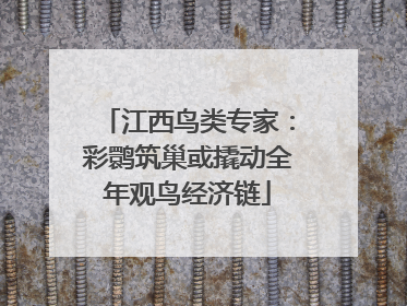 江西鸟类专家：彩鹮筑巢或撬动全年观鸟经济链