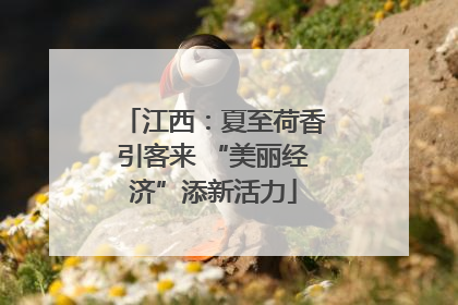 江西：夏至荷香引客来 “美丽经济”添新活力