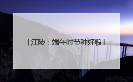 江陵：端午时节种好粮