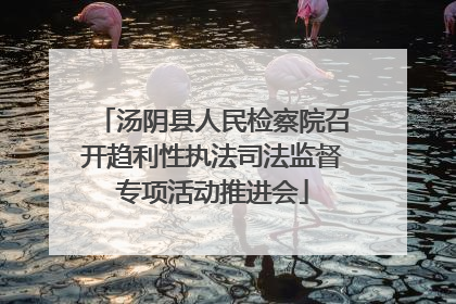 汤阴县人民检察院召开趋利性执法司法监督专项活动推进会
