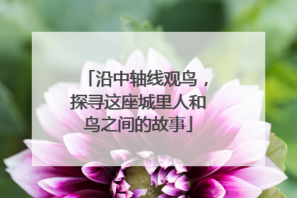 沿中轴线观鸟，探寻这座城里人和鸟之间的故事