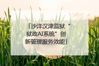 沙洋汉津监狱“狱政AI系统”创新管理服务效能