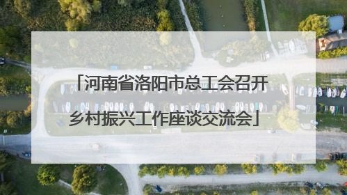 河南省洛阳市总工会召开乡村振兴工作座谈交流会