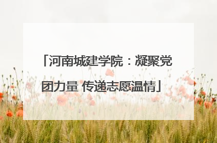 河南城建学院：凝聚党团力量 传递志愿温情