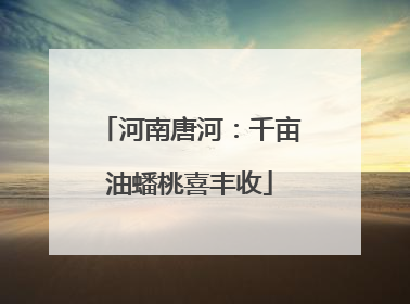 河南唐河：千亩油蟠桃喜丰收