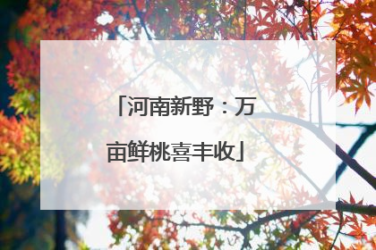 河南新野：万亩鲜桃喜丰收
