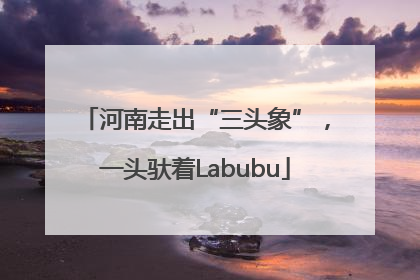 河南走出“三头象”，一头驮着Labubu