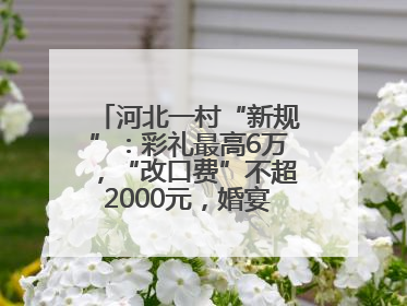 河北一村“新规”：彩礼最高6万，“改口费”不超2000元，婚宴限每户1人参加