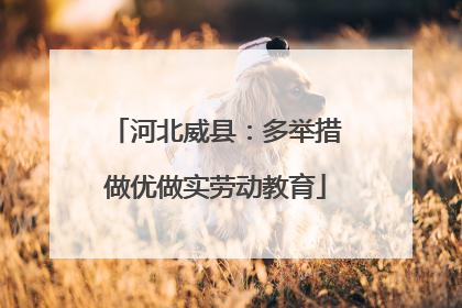 河北威县：多举措做优做实劳动教育