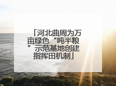 河北曲周为万亩绿色“吨半粮”示范基地创建指挥田机制