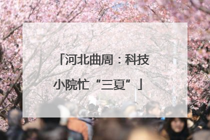 河北曲周：科技小院忙“三夏”
