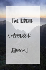 河北蠡县小麦机收率超95%