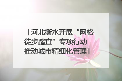 河北衡水开展“网格徒步踏查”专项行动 推动城市精细化管理