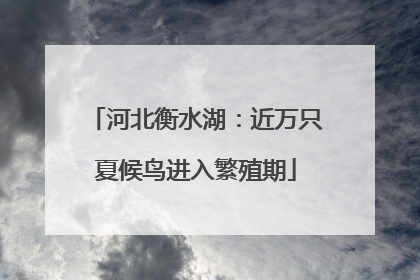 河北衡水湖：近万只夏候鸟进入繁殖期