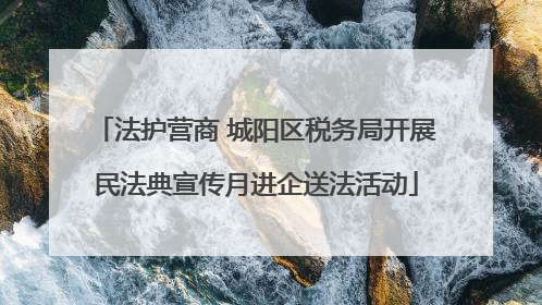 法护营商 城阳区税务局开展民法典宣传月进企送法活动