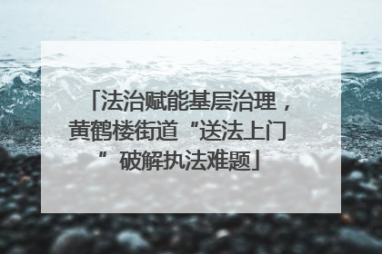 法治赋能基层治理，黄鹤楼街道“送法上门”破解执法难题