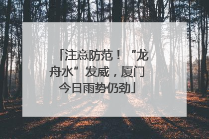 注意防范！“龙舟水”发威，厦门今日雨势仍劲