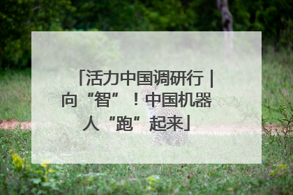 活力中国调研行｜向“智”！中国机器人“跑”起来