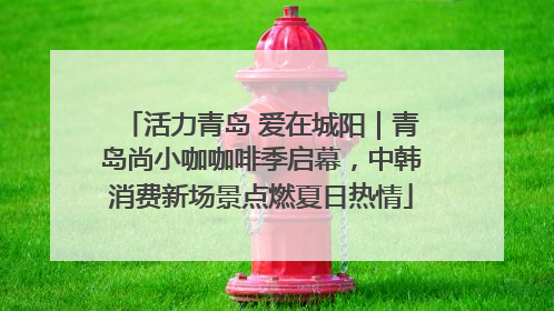活力青岛 爱在城阳｜青岛尚小咖咖啡季启幕，中韩消费新场景点燃夏日热情