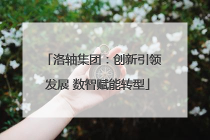 洛轴集团：创新引领发展 数智赋能转型