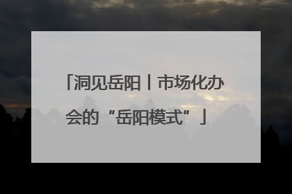 洞见岳阳丨市场化办会的“岳阳模式”