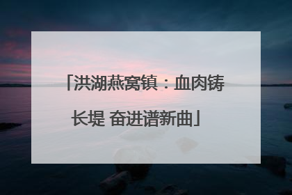 洪湖燕窝镇：血肉铸长堤 奋进谱新曲