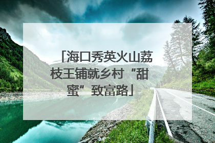 海口秀英火山荔枝王铺就乡村“甜蜜”致富路