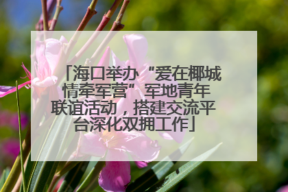 海口举办“爱在椰城 情牵军营”军地青年联谊活动，搭建交流平台深化双拥工作