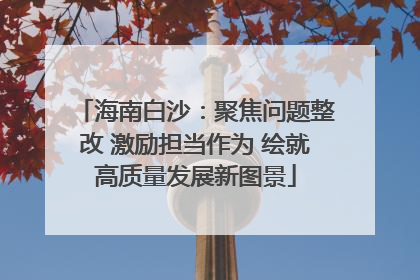 海南白沙：聚焦问题整改 激励担当作为 绘就高质量发展新图景