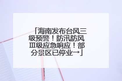 海南发布台风三级预警！防汛防风Ⅲ级应急响应！部分景区已停业→