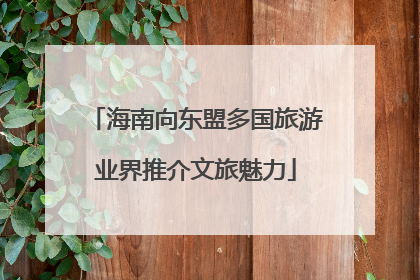 海南向东盟多国旅游业界推介文旅魅力