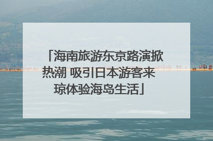 海南旅游东京路演掀热潮 吸引日本游客来琼体验海岛生活