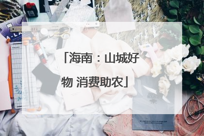 海南：山城好物 消费助农