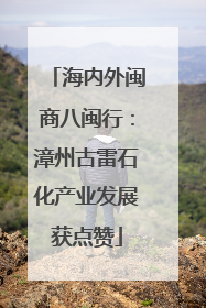 海内外闽商八闽行：漳州古雷石化产业发展获点赞