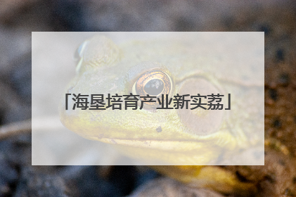 海垦培育产业新实荔