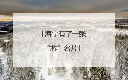 海宁有了一张“芯”名片