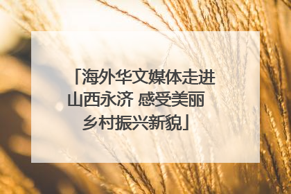 海外华文媒体走进山西永济 感受美丽乡村振兴新貌