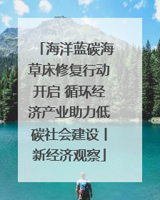 海洋蓝碳海草床修复行动开启 循环经济产业助力低碳社会建设丨新经济观察
